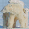 Polar Bear Mother Diamond Painting