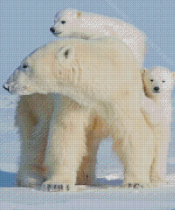 Polar Bear Mother Diamond Painting