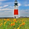 Sankaty Head Light Nantucket Diamond Painting