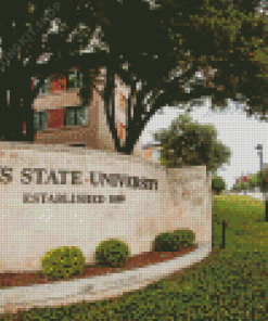 Texas State University Building Diamond Painting