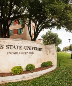 Texas State University Building Diamond Painting