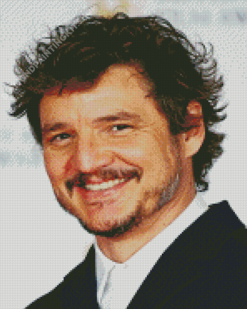 The Actor Pedro Pascal Diamond Painting