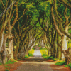 The Dark Hedges Landscape Diamond Painting