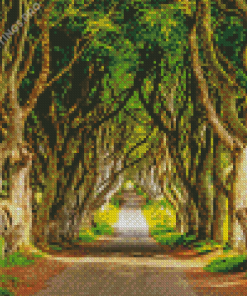 The Dark Hedges Landscape Diamond Painting