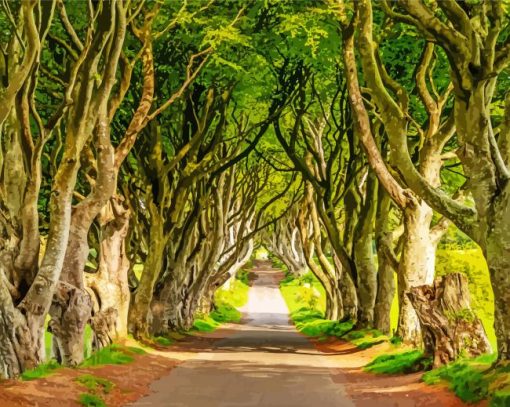 The Dark Hedges Landscape Diamond Painting