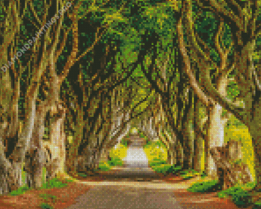 The Dark Hedges Landscape Diamond Painting