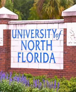 University Of North Florida Diamond Painting