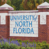 University Of North Florida Diamond Painting