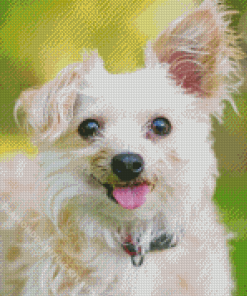 White Yorkipoo Dog Diamond Painting