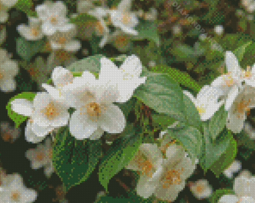 White Blossom Orange Flowers Diamond Painting