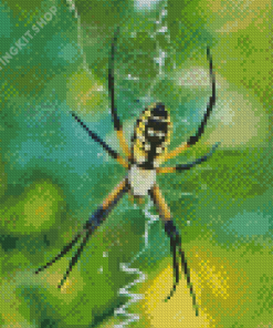 Yellow Garden Spider Diamond Painting