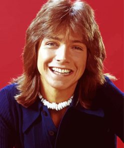 Young David Cassidy Diamond Painting