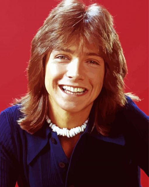 Young David Cassidy Diamond Painting