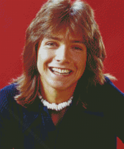 Young David Cassidy Diamond Painting