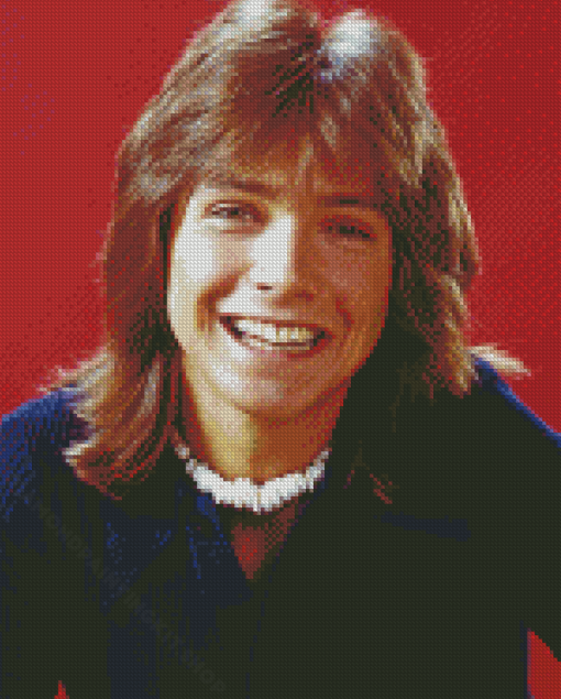 Young David Cassidy Diamond Painting