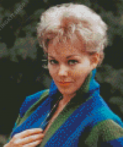 Aesthetic Kim Novak Diamond Painting