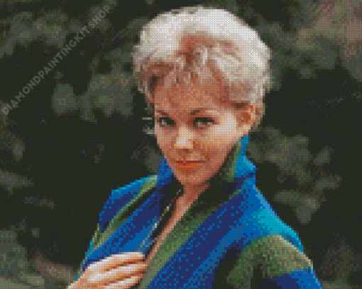 Aesthetic Kim Novak Diamond Painting