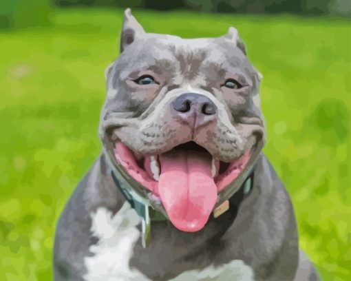 American Bully Smiling Diamond Painting