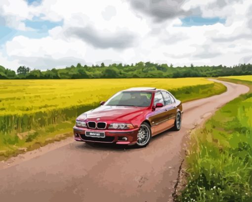 BMW E39 Car Diamond Painting