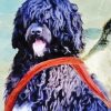 Black Portuguese Water Dog Art Diamond Painting