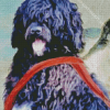 Black Portuguese Water Dog Art Diamond Painting