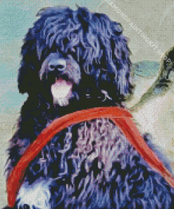 Black Portuguese Water Dog Art Diamond Painting