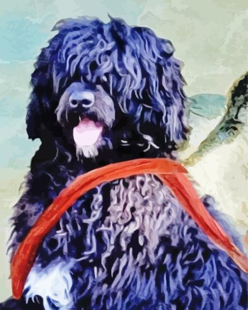 Black Portuguese Water Dog Art Diamond Painting