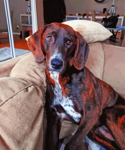 Black And Brown Plott Hound Diamond Painting