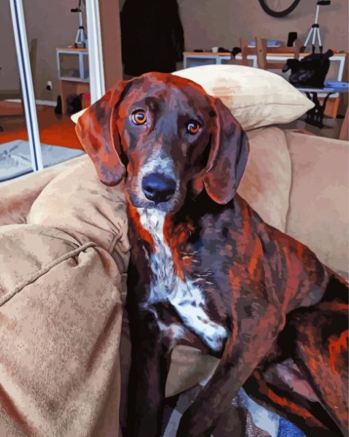 Black And Brown Plott Hound Diamond Painting