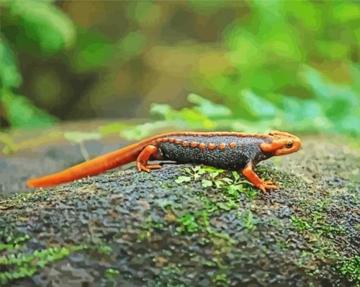 Black And Orange Salamander Diamond Painting