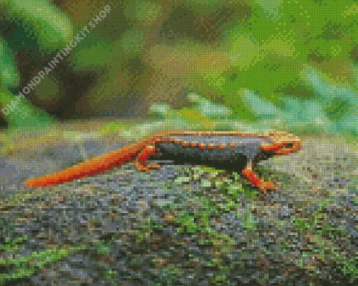 Black And Orange Salamander Diamond Painting