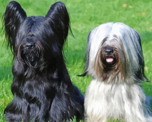 Black And White Skye Terriers Diamond Painting