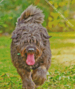 Brown Bouvier Des Flandres Diamond Painting