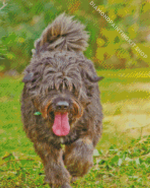 Brown Bouvier Des Flandres Diamond Painting