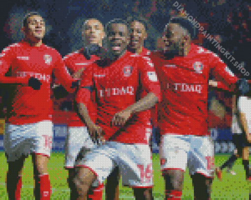 Charlton Athletic FC Players Diamond Painting