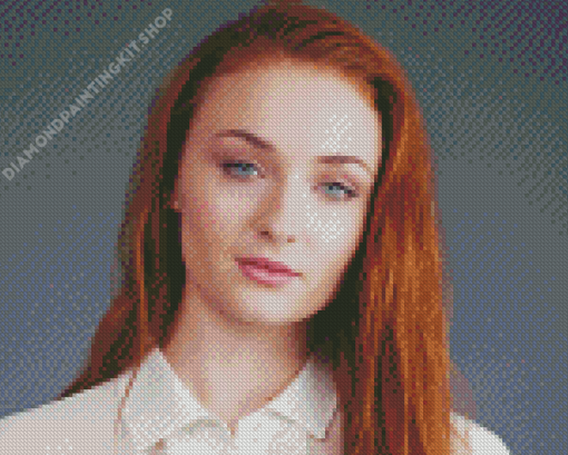 Sophie Turner Diamond Painting