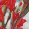 Gladiolus Flower Diamond Painting