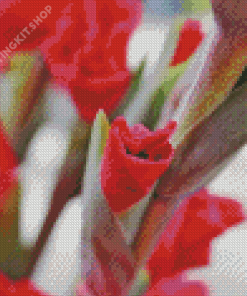 Gladiolus Flower Diamond Painting