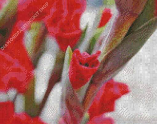 Gladiolus Flower Diamond Painting