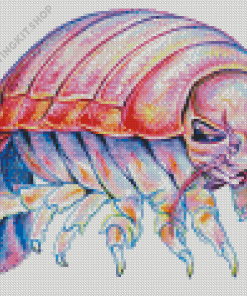 Colorful Isopod Art Diamond Painting