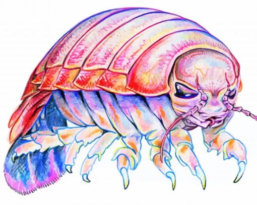 Colorful Isopod Art Diamond Painting