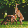 Deers In Bushy Park Diamond Painting