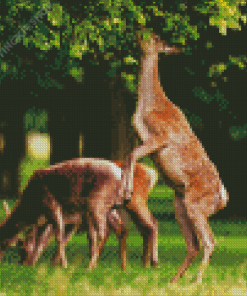 Deers In Bushy Park Diamond Painting