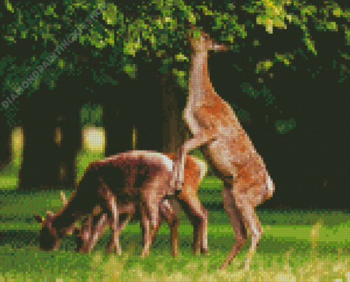 Deers In Bushy Park Diamond Painting