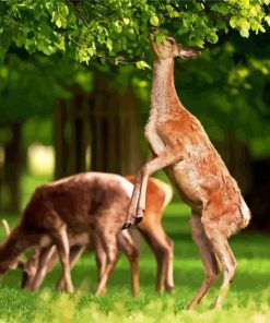 Deers In Bushy Park Diamond Painting