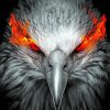 Eagle Fire Eyes Diamond Painting