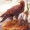 Eagle And Gandalf Smoking Diamond Painting