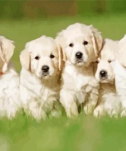 English Cream Retriever Puppies Diamond Painting