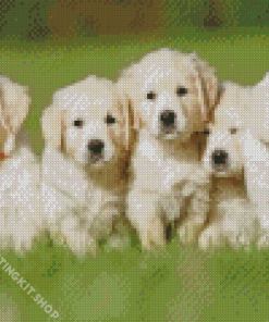 English Cream Retriever Puppies Diamond Painting