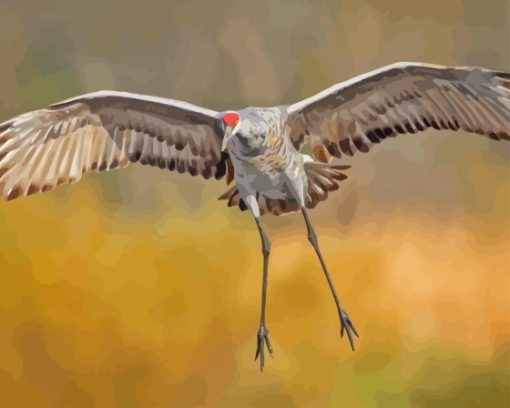 Flying Sandhill Crane Diamond Painting